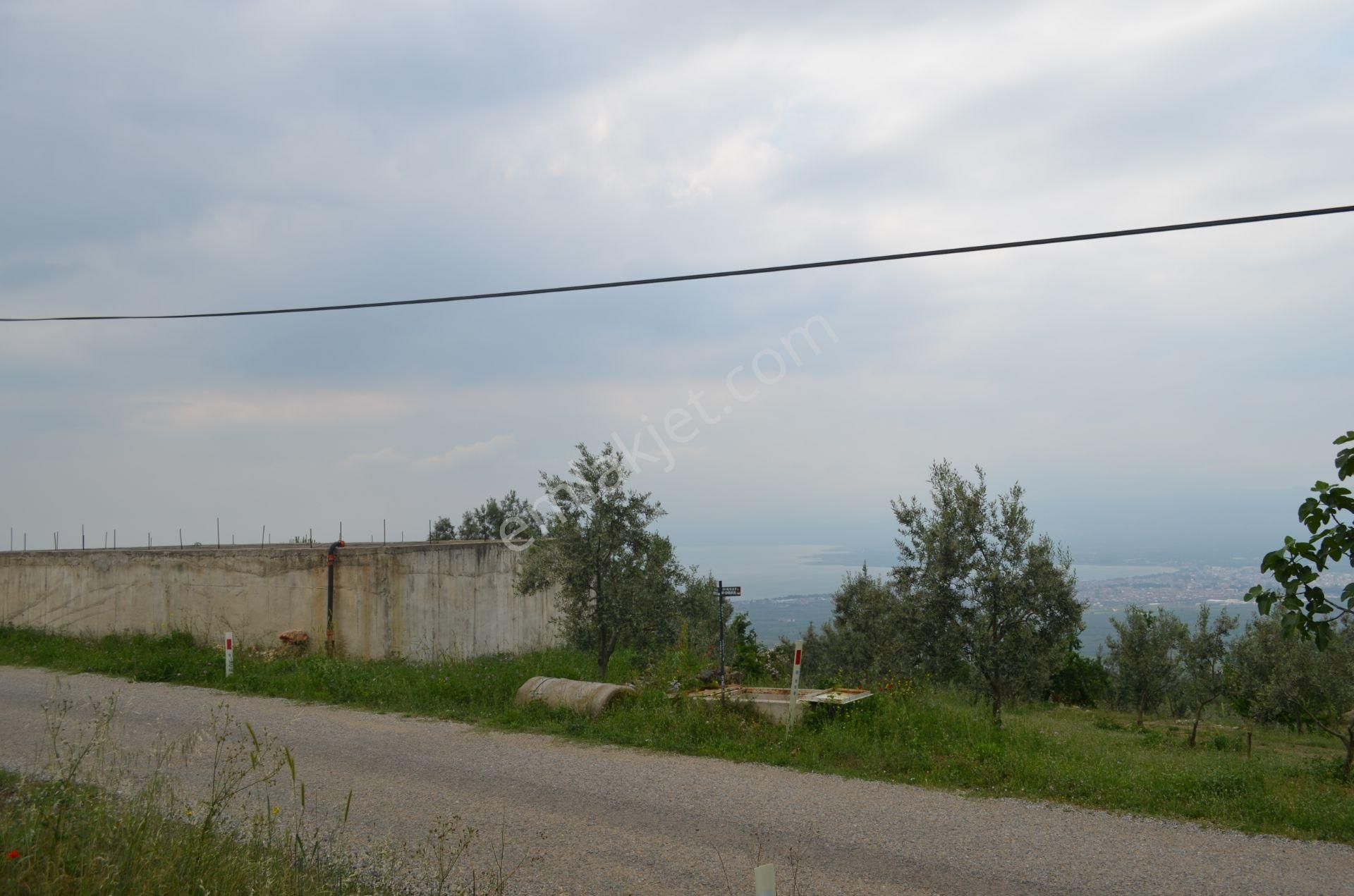 *iznik Şerefiye Mahallesinde 10.962 M² Satılık Verimli Arazi - Görsel 17