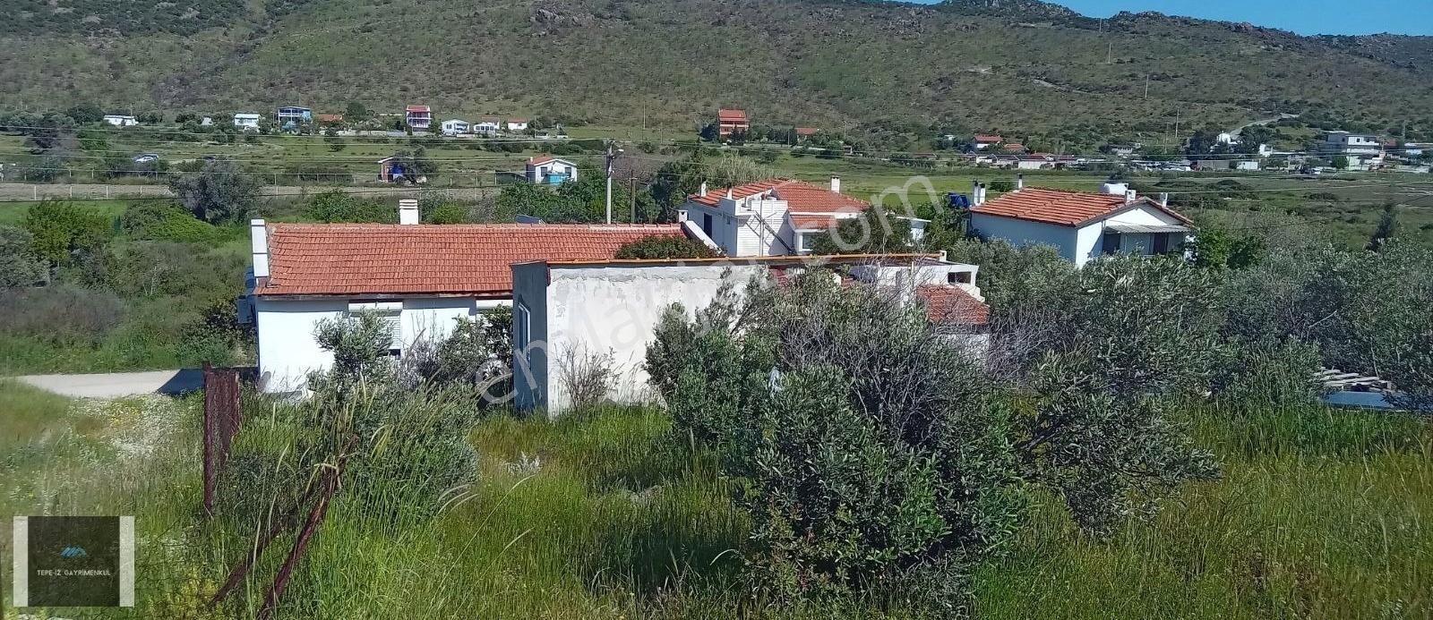 Urla Zeytineli Yeşilikler İçinde 2+1 Müstakil Ev Ve Müştemilat - Görsel 9