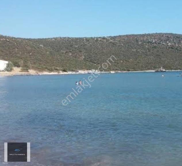 Urla Zeytineli Yeşilikler İçinde 2+1 Müstakil Ev Ve Müştemilat - Görsel 12