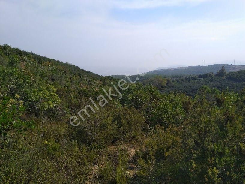 Mudi Emlak'tan Deniz Manzaralı, Müstakil Tapulu, Yatırımlık, Fırsat Satılık Arazi
