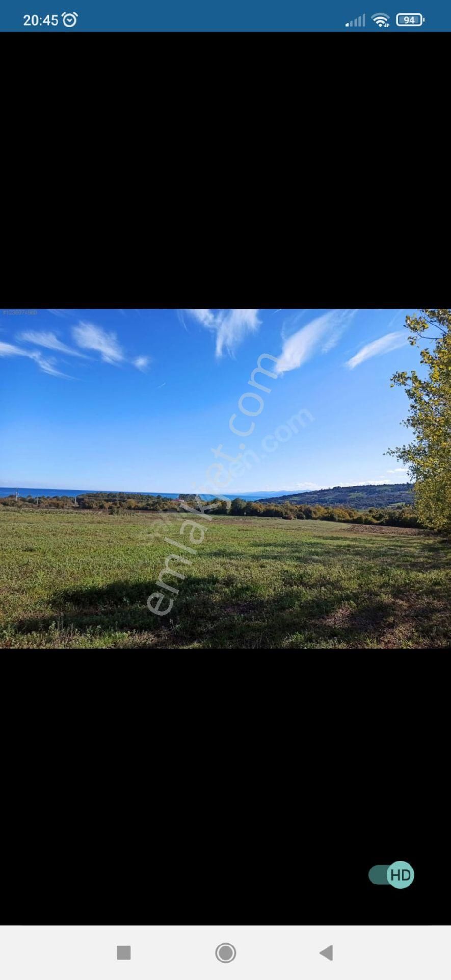 Sinop Lala`da Deniz Manzaralı Tarla