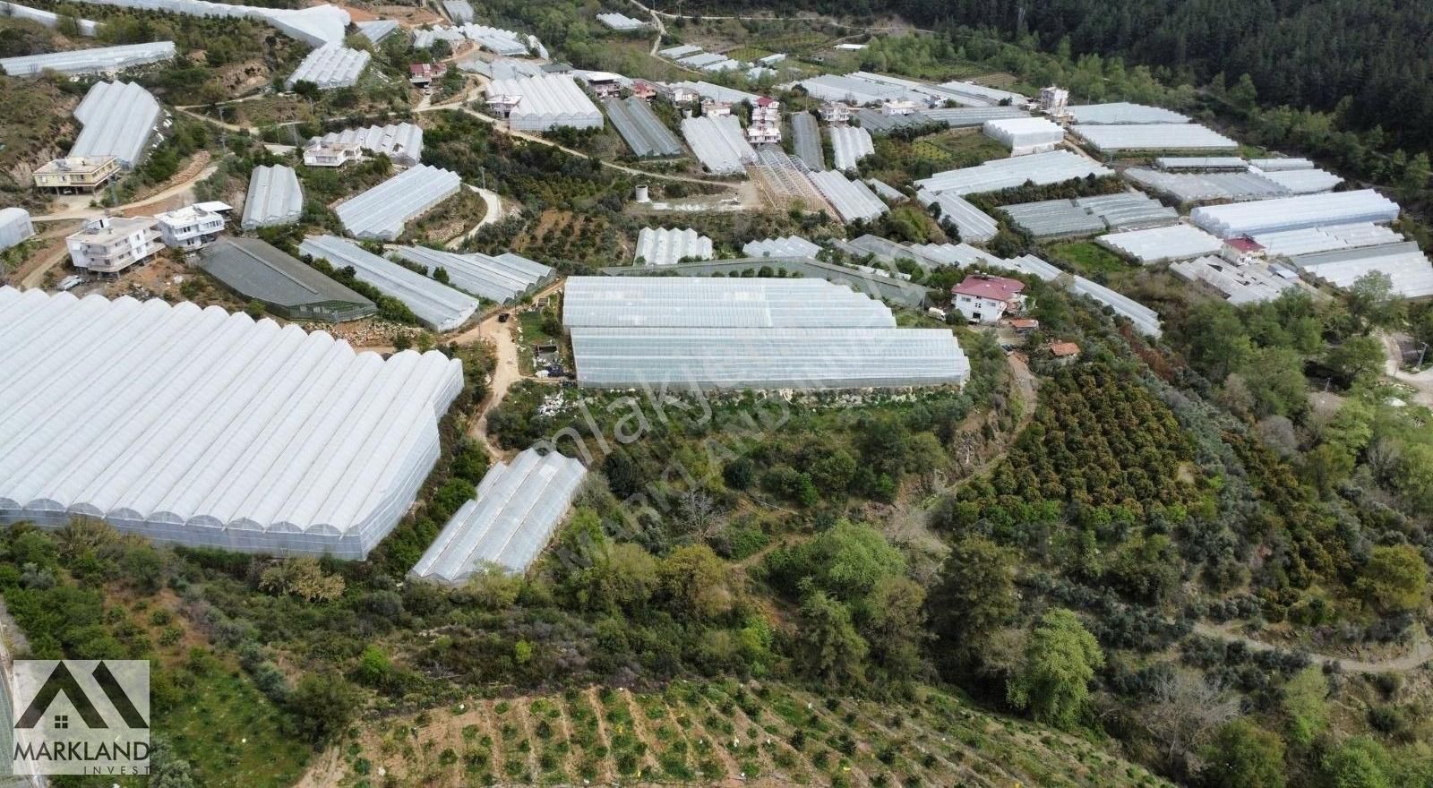 Alanya Gözübüyük Mahallesinde Yatırımlık Tarla - Görsel 4