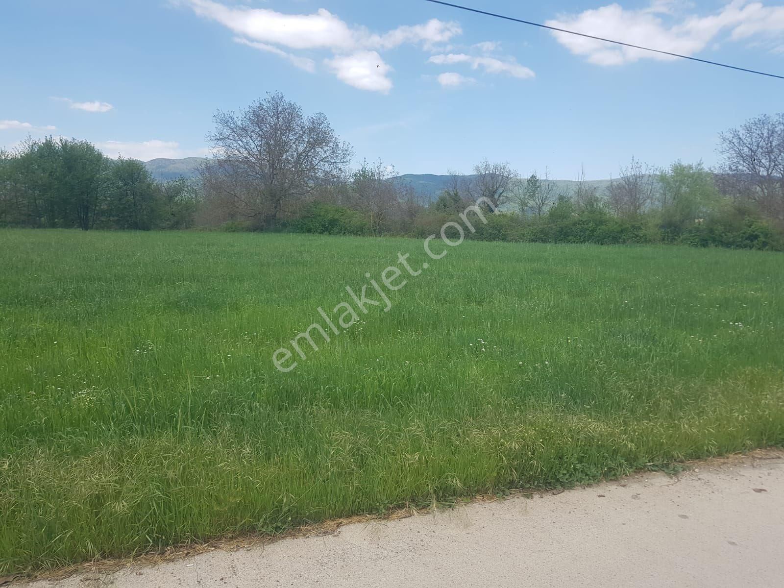 Satılık Kazdağları Akçakoyunda Ana Yola Sıfır Tarla