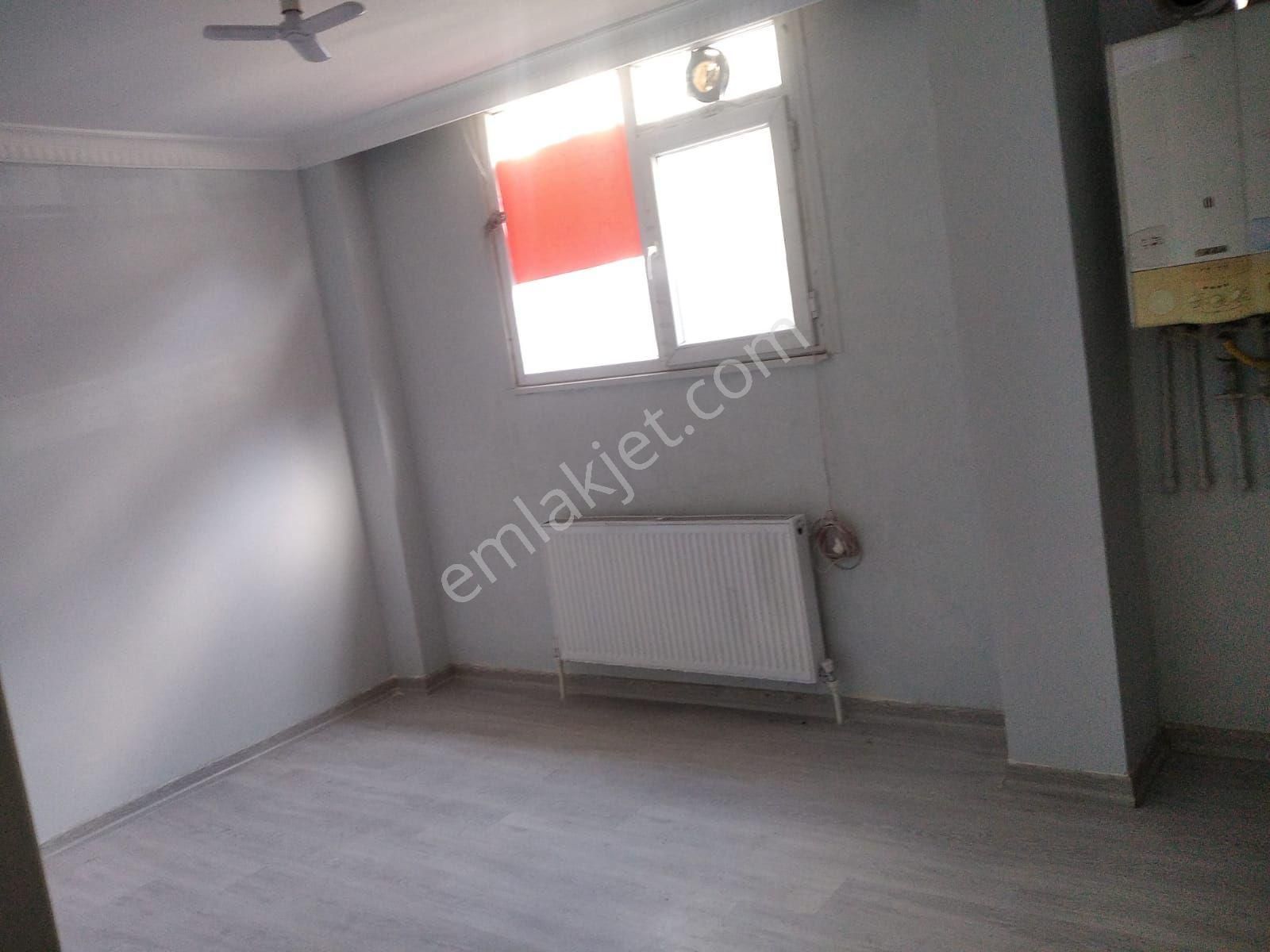 Kiralık 1+1
