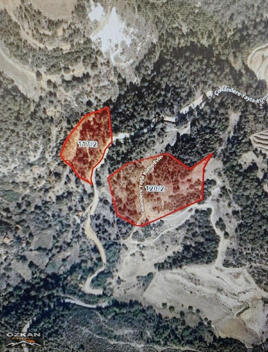 Kavaklıdere Yeni Mahallede 2 Tapu Toplam 24.700m2 Satılık Tarla