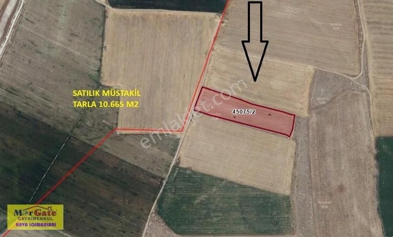 Morgate Gayrimenkul'den Yazıbelende Satılık Müstakil Tarla