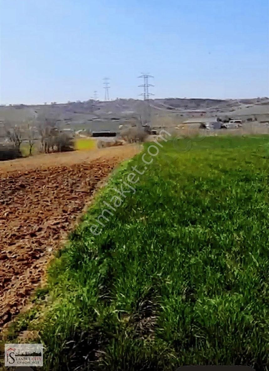 Bu Fiyata Başka Yok