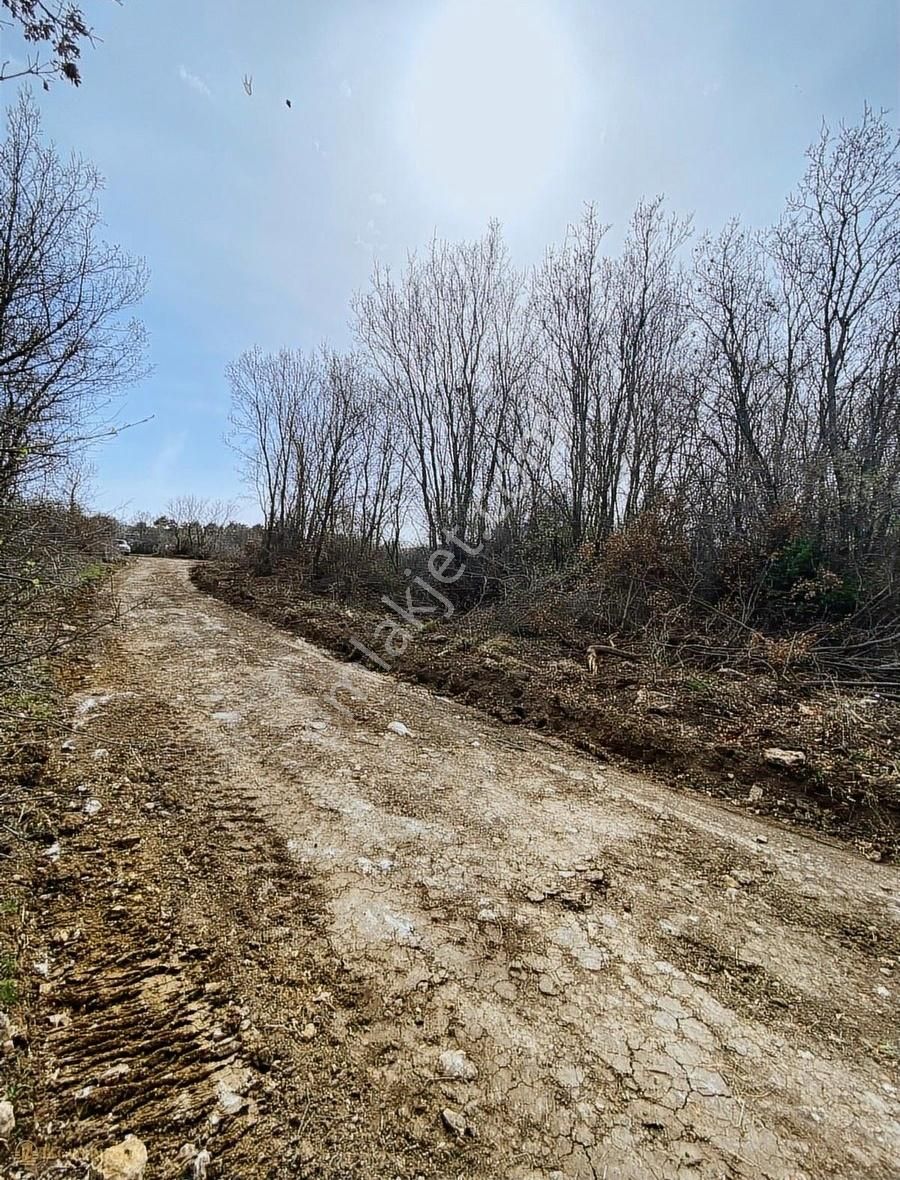 Çanakkale Merkez Kızılkeçili Köyü Satılık Tarla