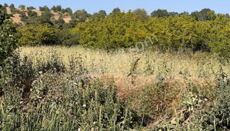 Manisa Kula Gökçeören Yanık Ülkeye Komşu Su Kanal Yola Cephe Bungalov Projesi Hazır Arsa.