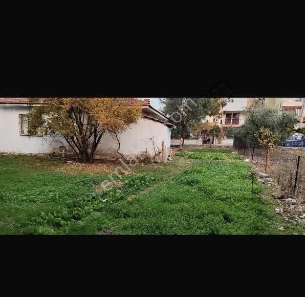 Arsa Fiyatına Anayola 100 Metre Mesafe