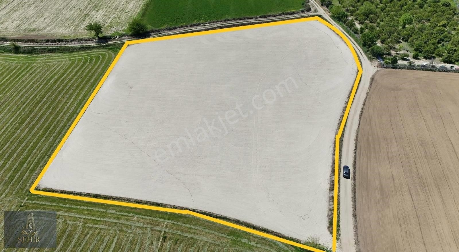 ***şehir'den***nazilli Sümer Ovası 7500m2 Pamuk Tarlası** - Görsel 4