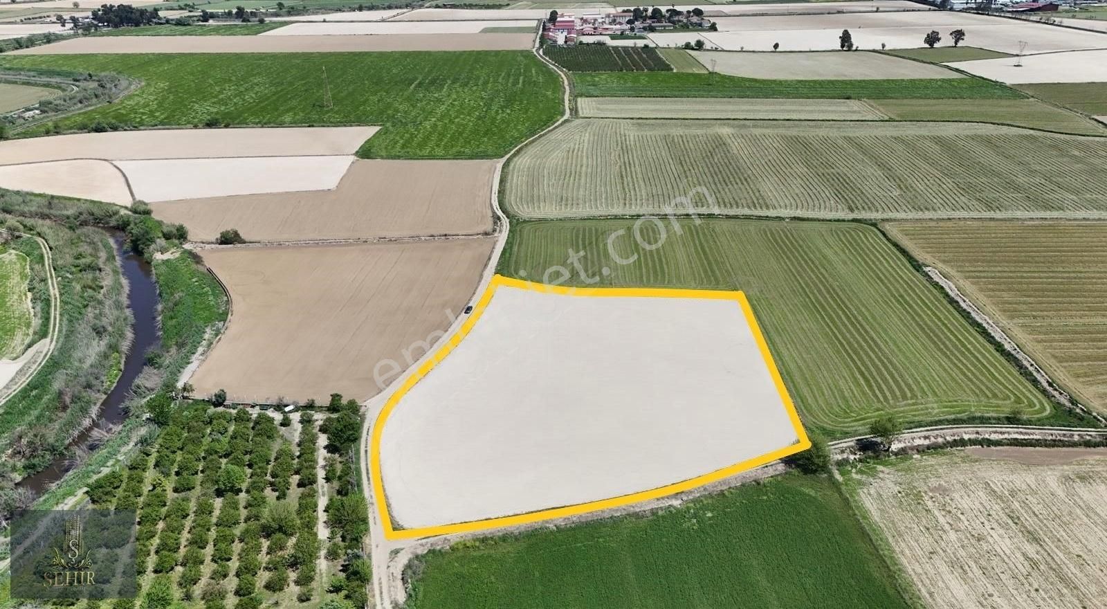 ***şehir'den***nazilli Sümer Ovası 7500m2 Pamuk Tarlası** - Görsel 3