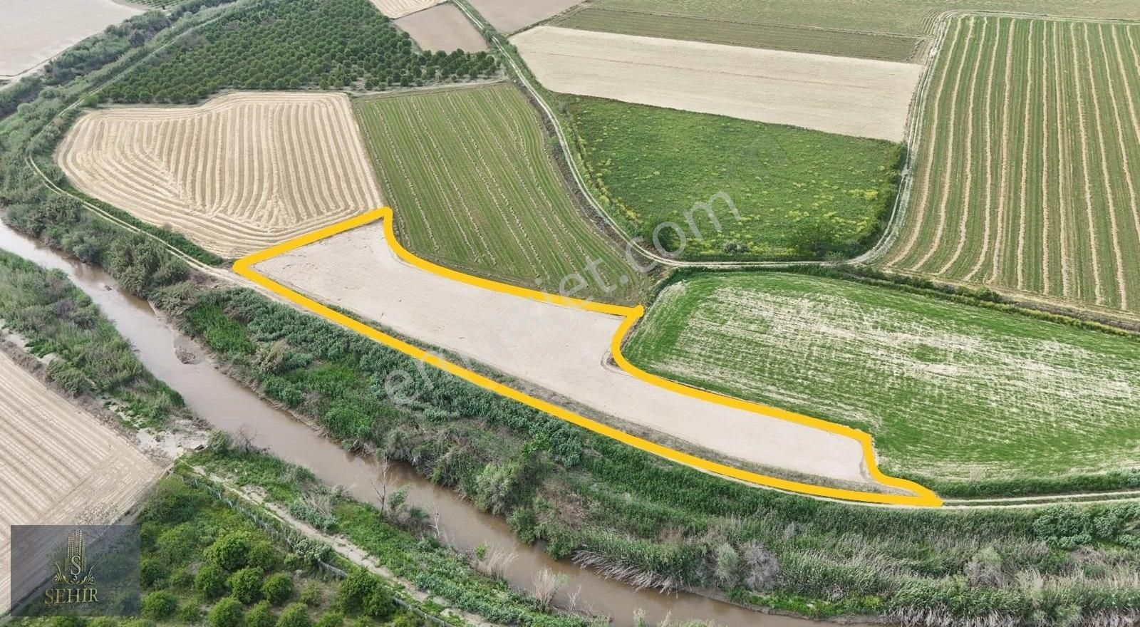 ***şehir'den***nazilli Sümer Ovası 2336m2 Pamuk Tarlası** - Görsel 3