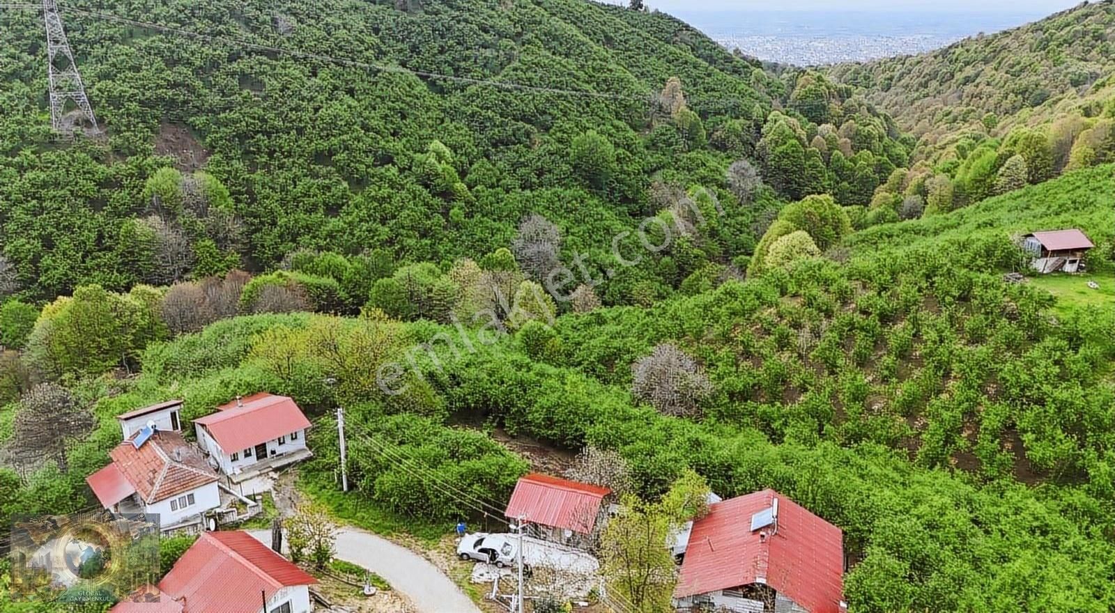 Global Emlak'tan Güzlek Mahallesinde Satılık Ev+fındık Bahçesi - Görsel 11