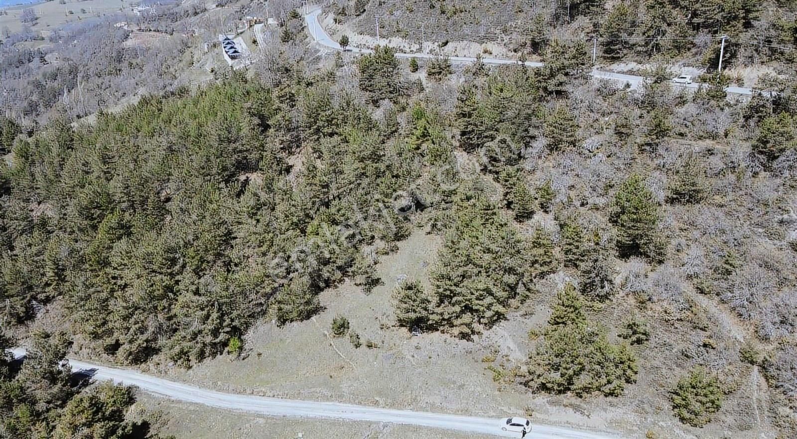 Sng Gayrimenkul Den Pamukova Bakacak Mahallesinde Arazi - Görsel 6