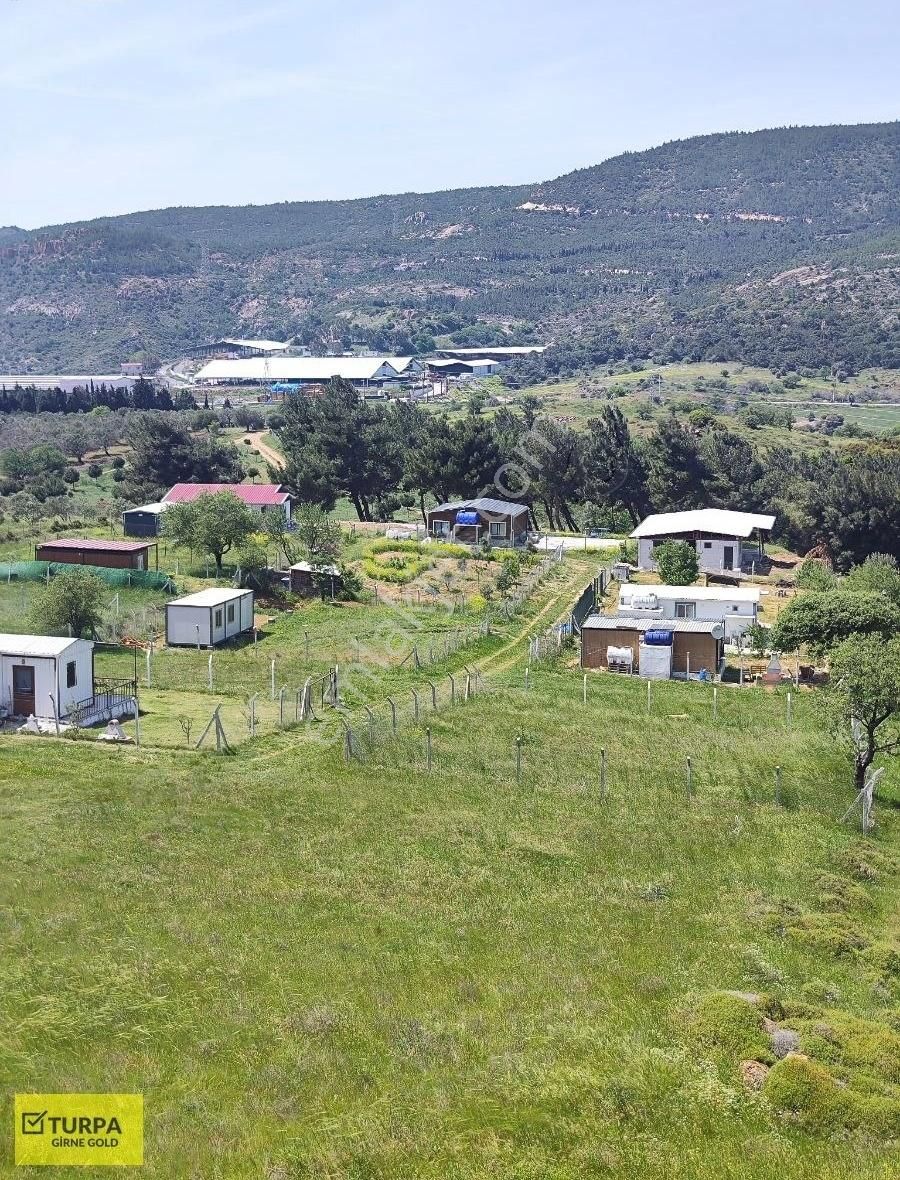 Foça Yeniköy De Satılık Bahçe