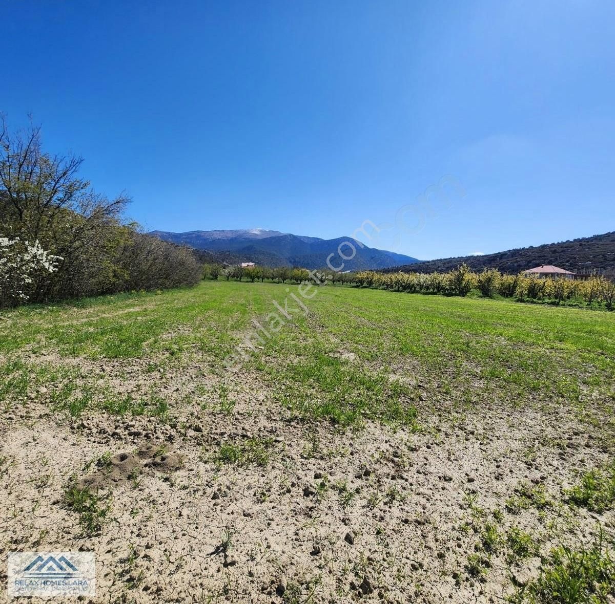 Satılık,korkuteli Yazırda 2162 M2 Geniş Satılık Arazi - Görsel 4