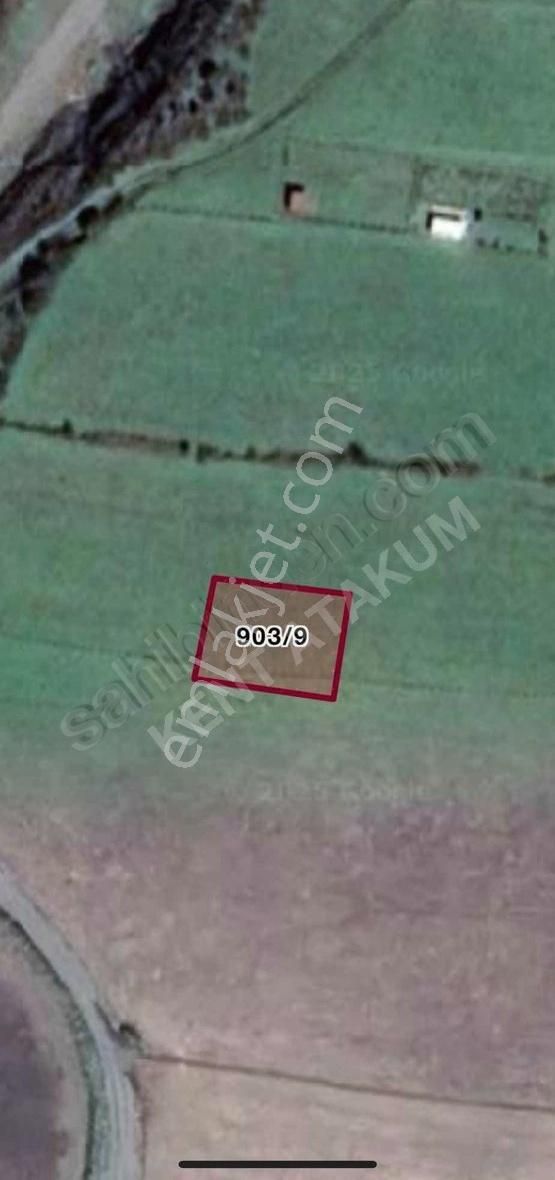 Dereköy Taşkelikte Full Deniz Manzaralı 714 M2 Villalık Arsa