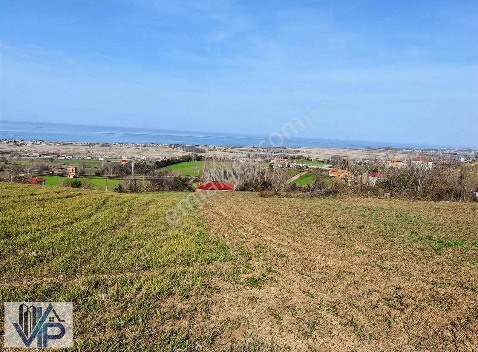 Bafra Vıp Gayrımenkulden Alaçam Etyemezde 9200m2 Satılık Tarla!!