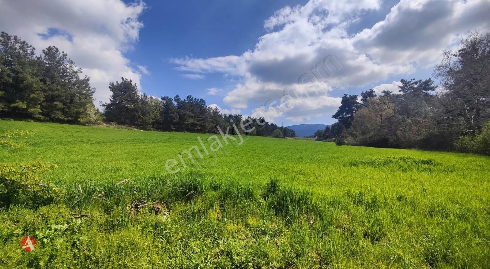 Çanakkale, Lapseki,beybaş, 13.944 M2, Yola Cephe Yatırım Fırsatı