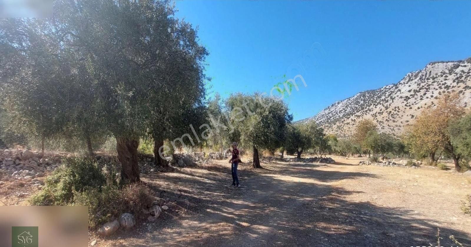 Karaveliler'de Çiftlik Yapmaya Uygun Arazi