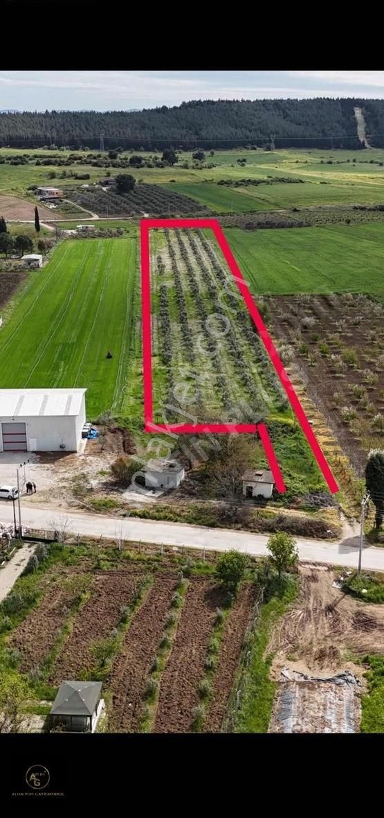 Menderes Oğlananası'nda Tek Tapu 12.245 M2 Satılık Tarla