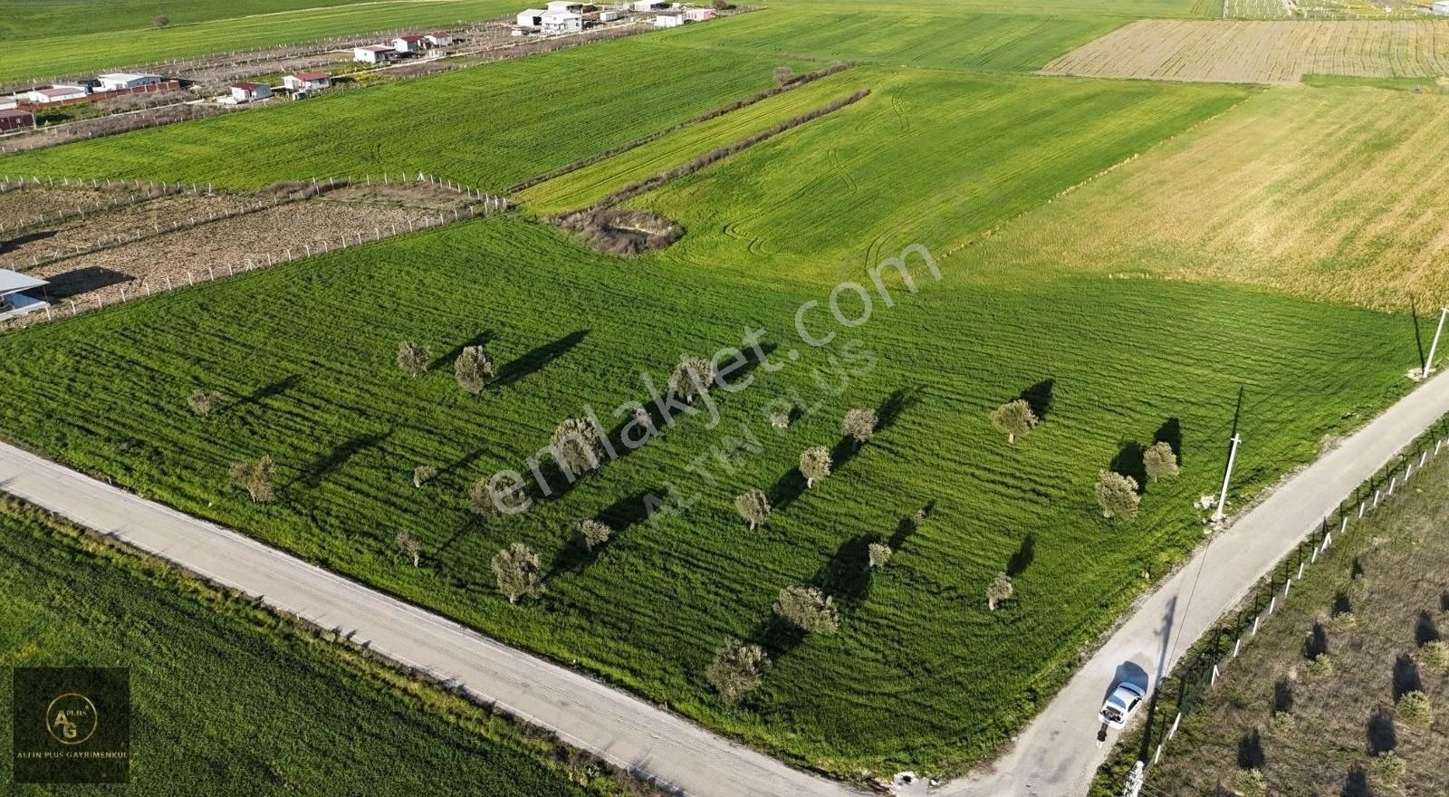 Menderes Altıntepe Mahallesinde 11.072 M2 Köşe Tek Tapu Tarla