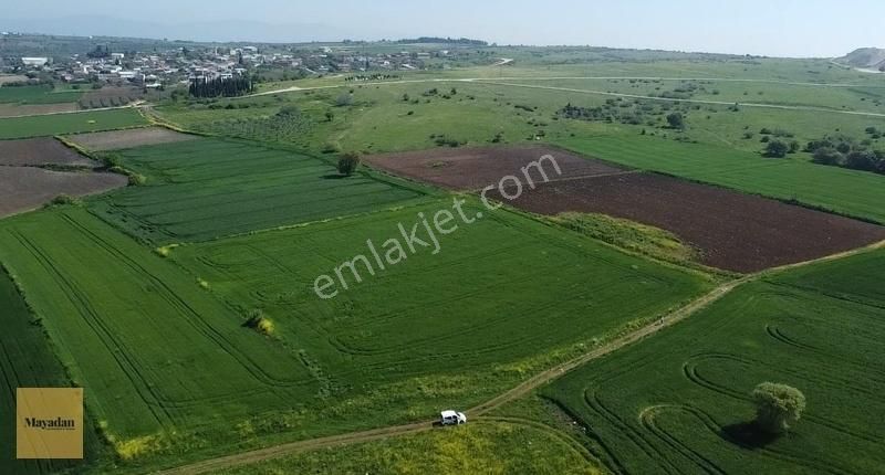 Mayadan Gyo'dan Yeşilçomlu Mah Satılık 10650 M2 Tarla