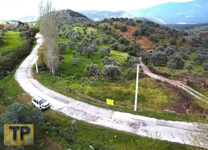 Bayındır Lütuflar Köyünde Satılık Bahçe