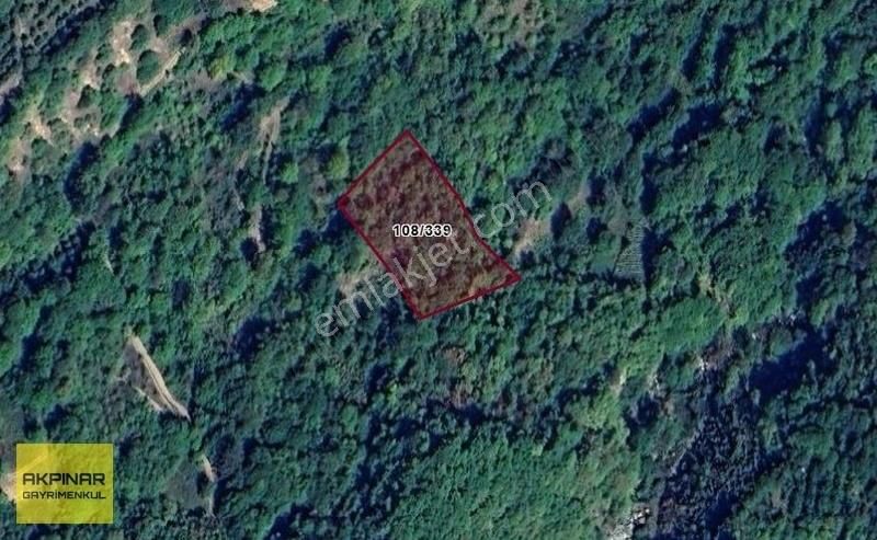Akpınar Emlak'tan İnegöl Paşaören'de 3.156 M2 Satılık Tarla