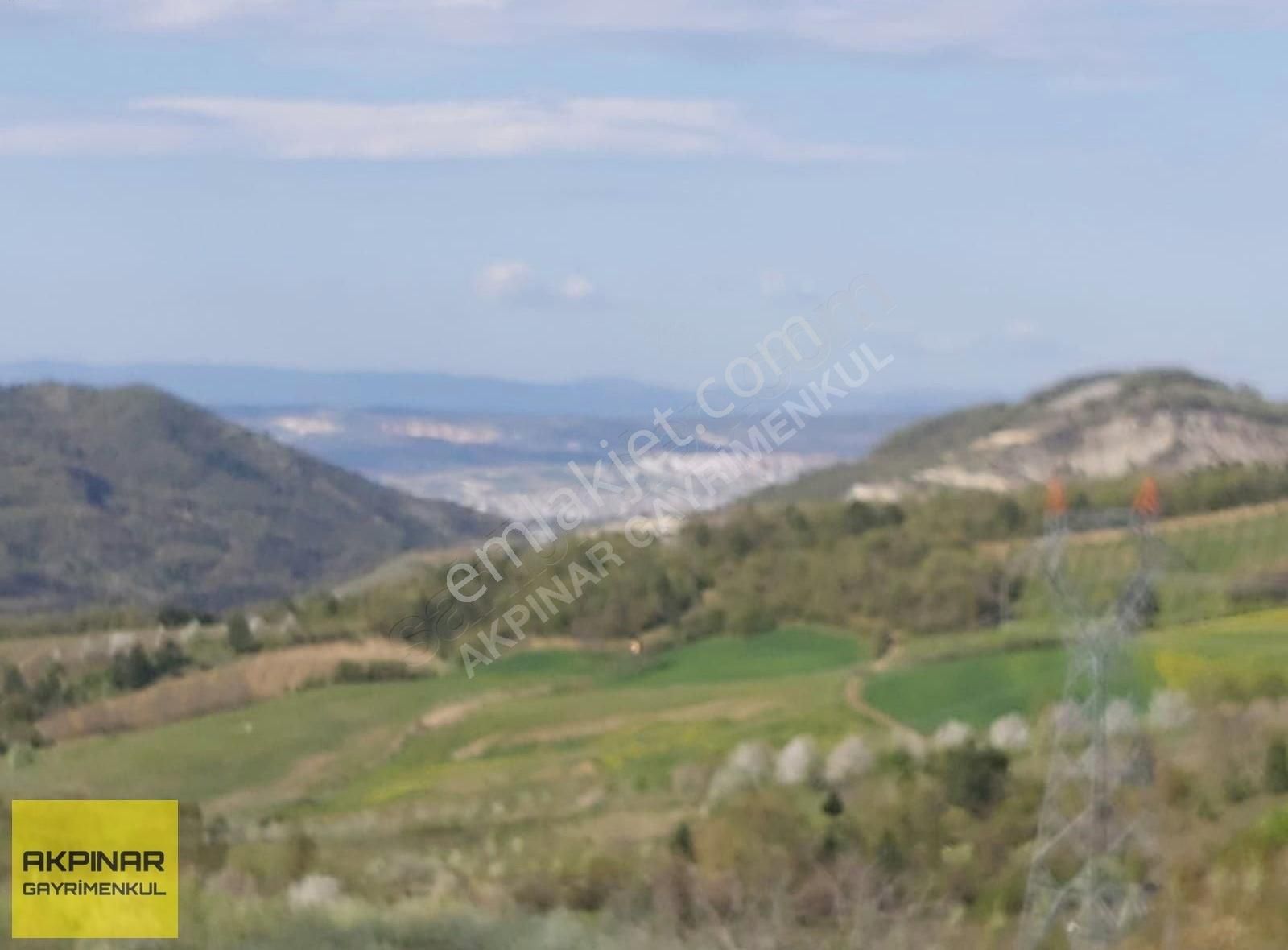 Akpınar'dan İnegöl Paşaören'de 2,951 M2 Manzaralı Satılık Tarla