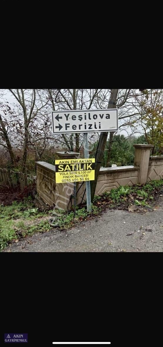 Sakarya Kaynarca Satılık Fındık Bahçesi