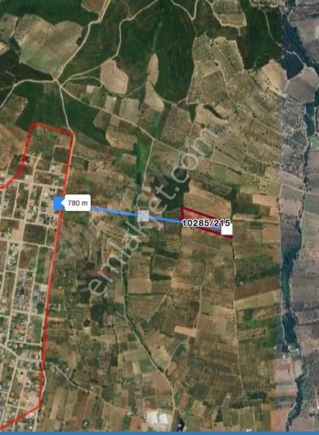 Bursa Nulufer Nulufer Koyde Yatirimlik Bi Arazidir 2943 M(41)+
