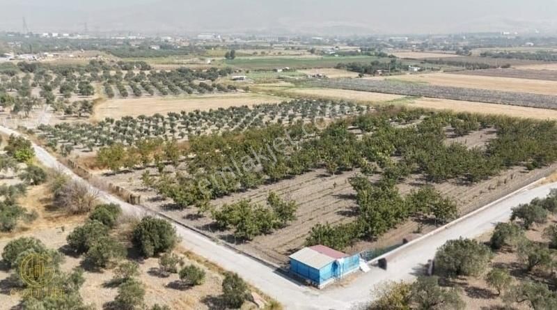 Gözde Life Helvacı Ovasının En Güzel Parseli 3 Cephesi Yol
