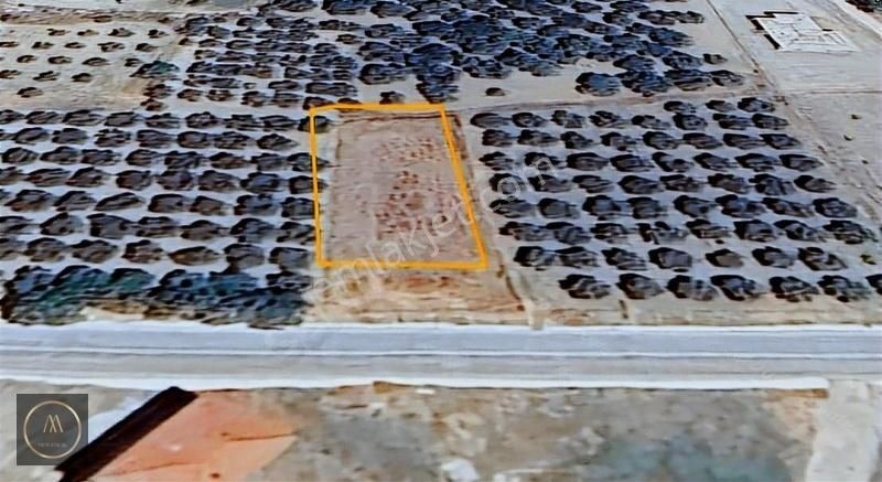 Saruhanlı Gözlette Anayola Cepheli Satılık İmarlı Arsa