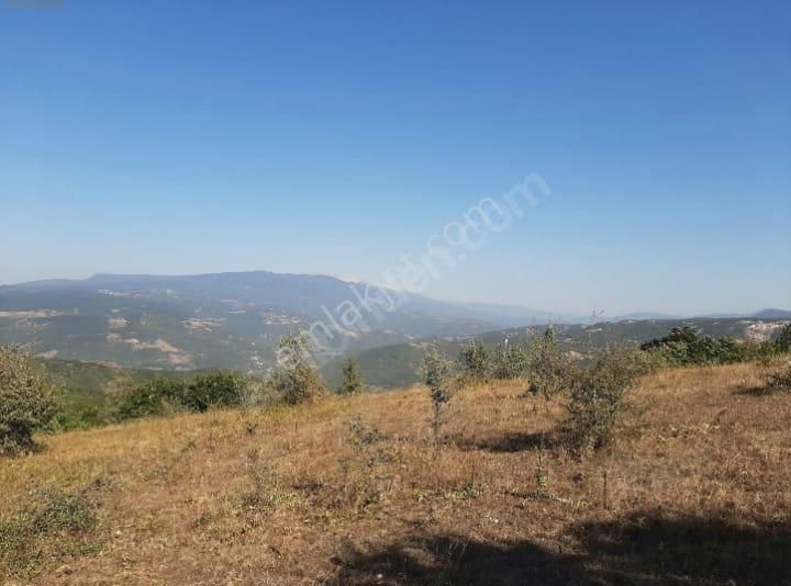 Bursa Nilufer Atlas Mahalesi4562 M (42)+