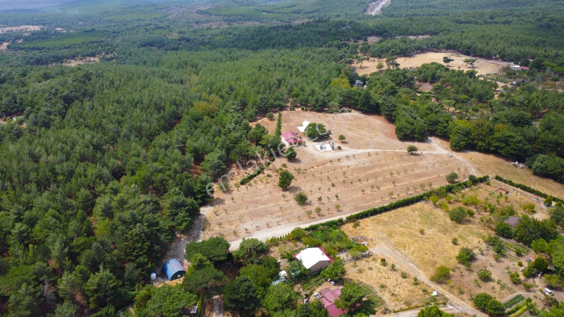 🔰🔰 Aktif'ten Muhteşem Manzaralı Çok Kullanışlı İçerisinde Yapılaşma Olduğu Satılık Tarla 🔰🔰