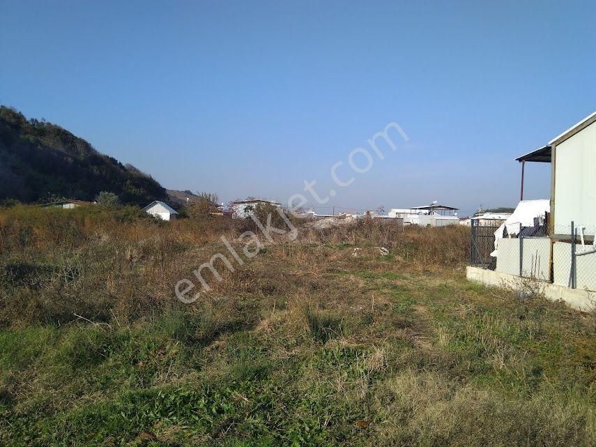 Mudi Emlak'tan Bursa Mudanya Mesudiye Ayazma Sahilde Denize-eve-ana Yola Yakın Fırsat Arazi