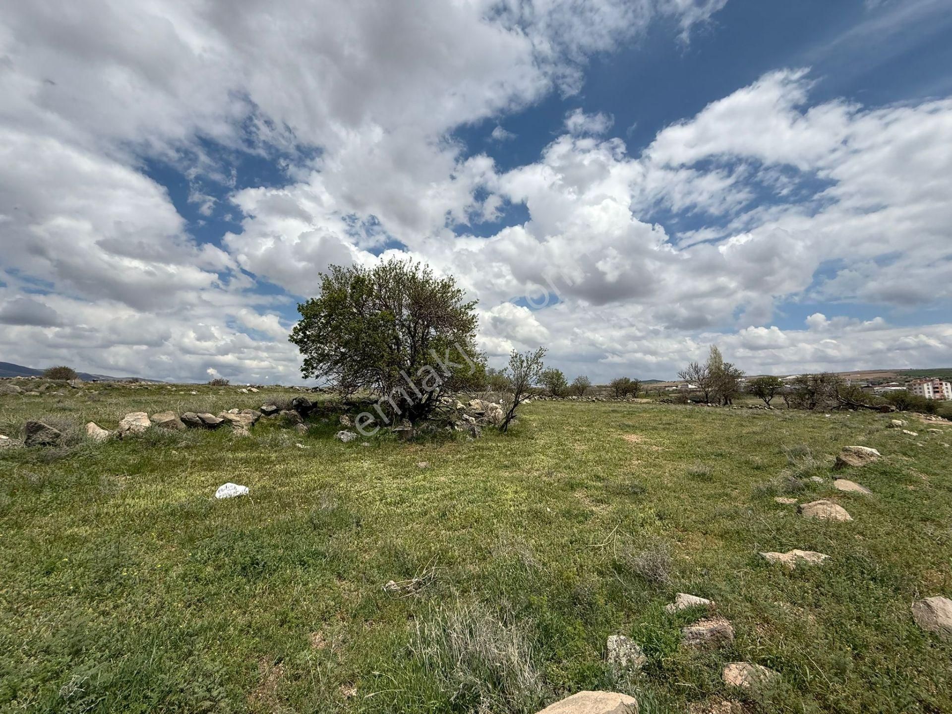 Öz Gaye Emlaktan Develi Gölemen Mevkiinde Satılık Villa Parseli