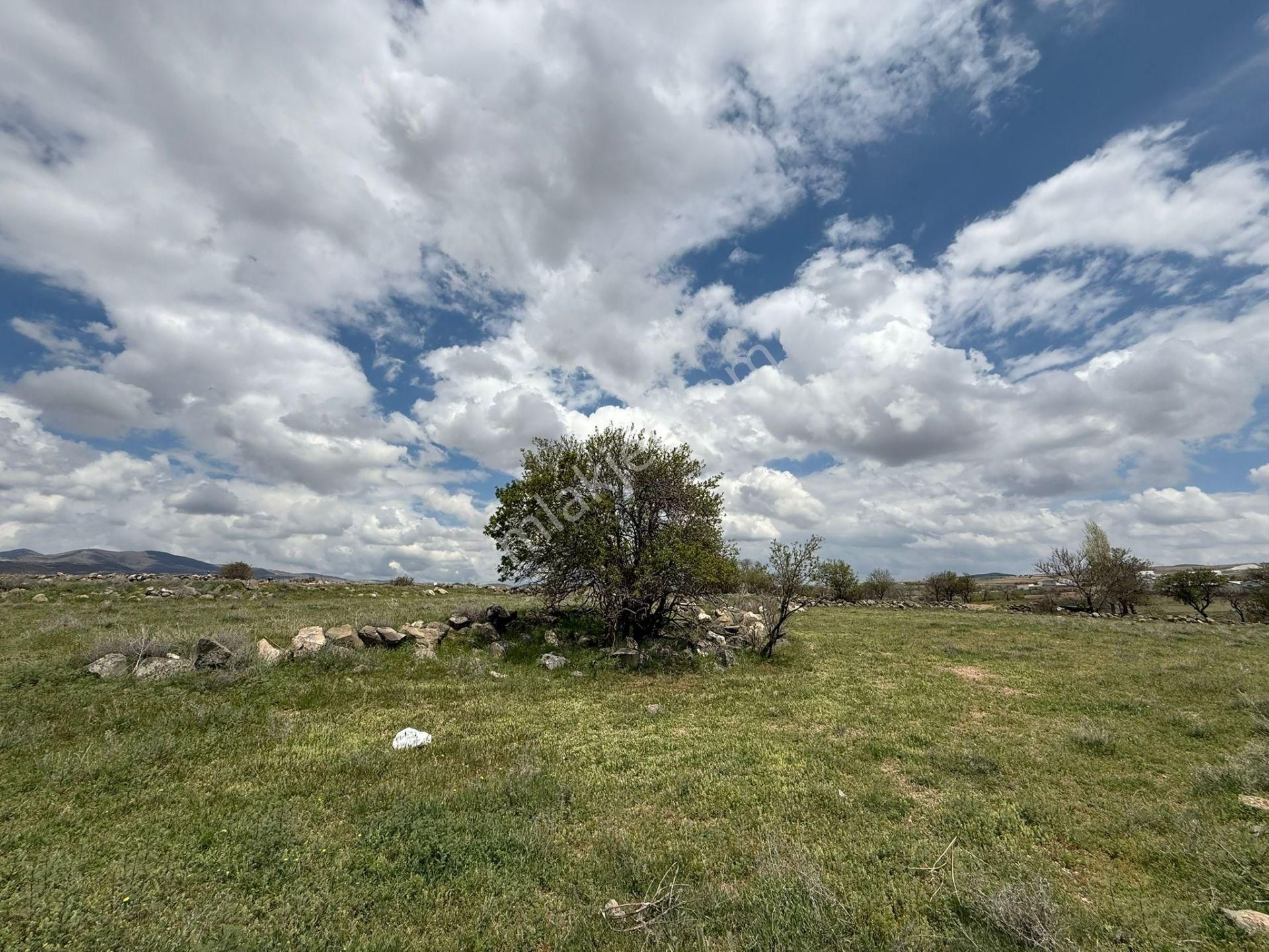 Öz Gaye Emlaktan Develi Gölemen Mevkiinde Satılık Villa Parseli - Görsel 3