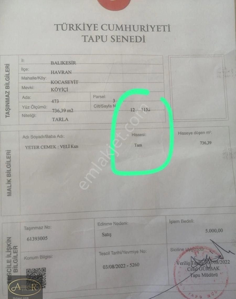 İzmir Bergama Kozak Yaylası Satılık Asfalt Yanı Arazi