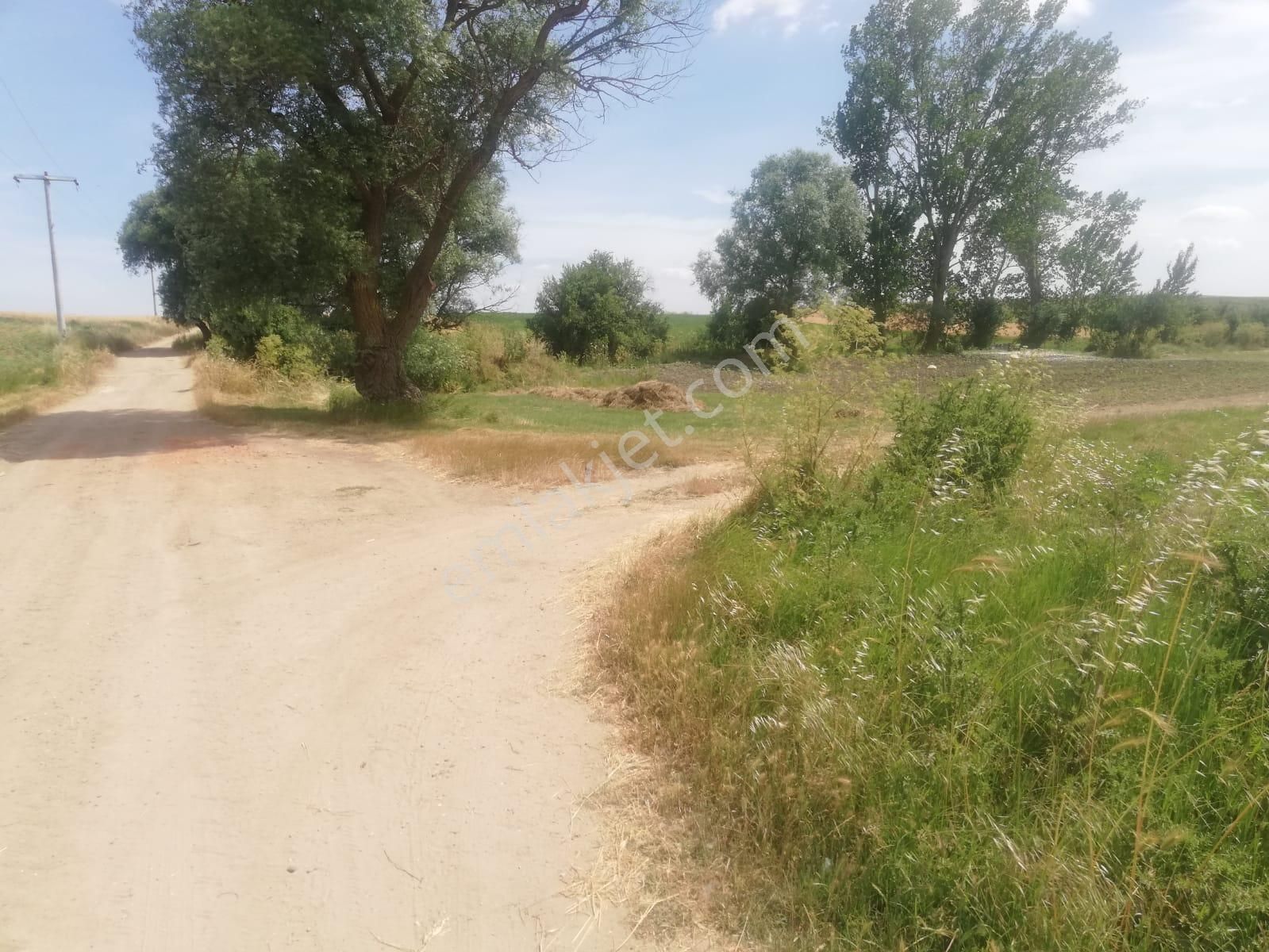 Tekirdağ Ergenede Arsa Hobi Bahçesi