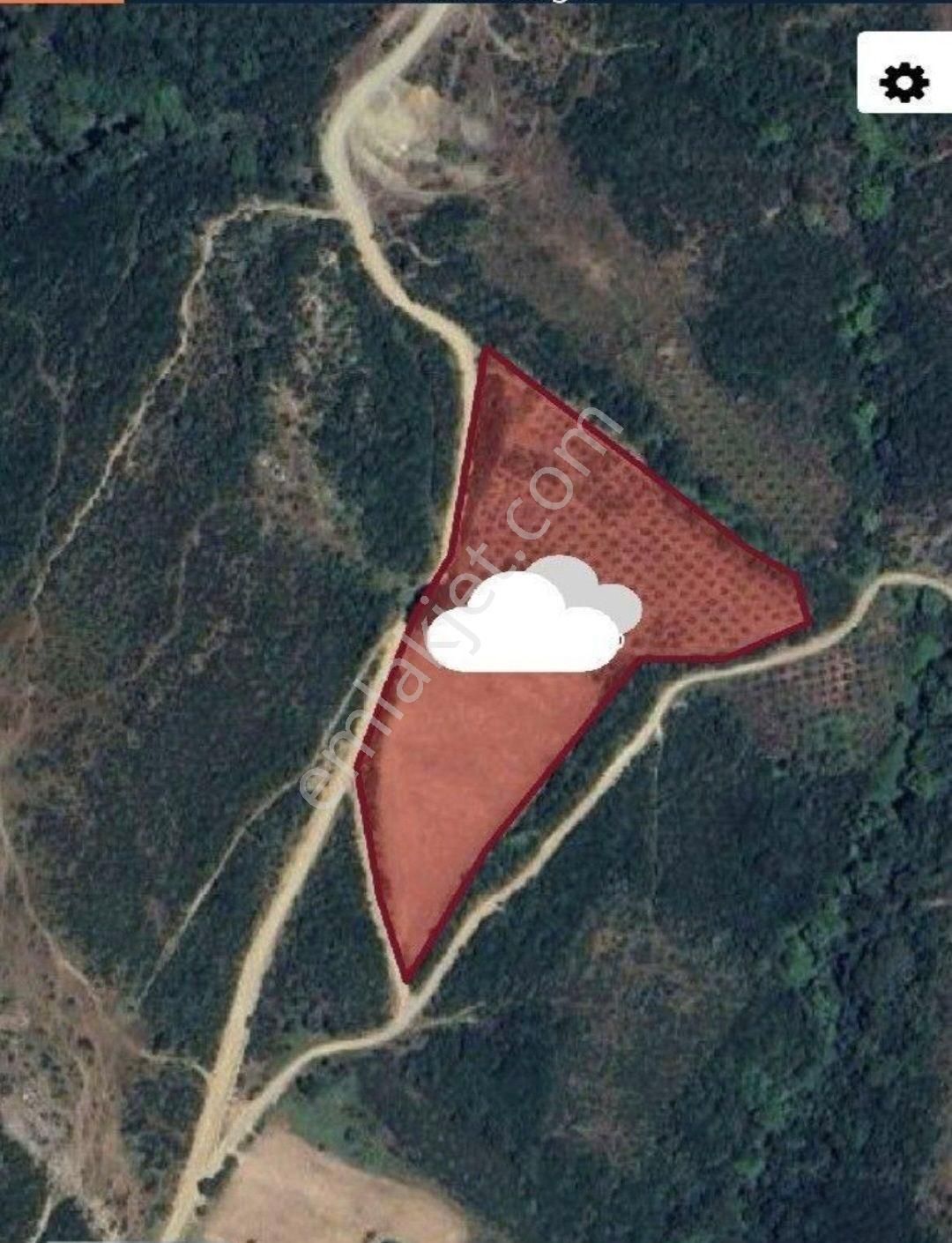 Dedeobada Satılık Tarla