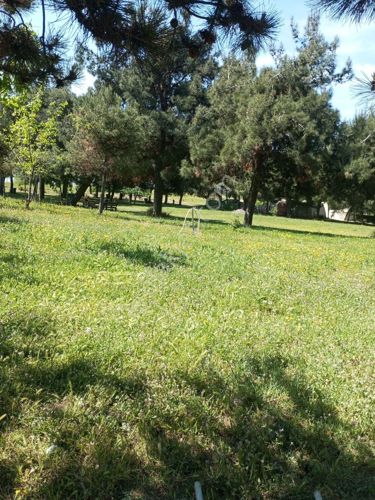 Satılık Konut İmarlı Arsa