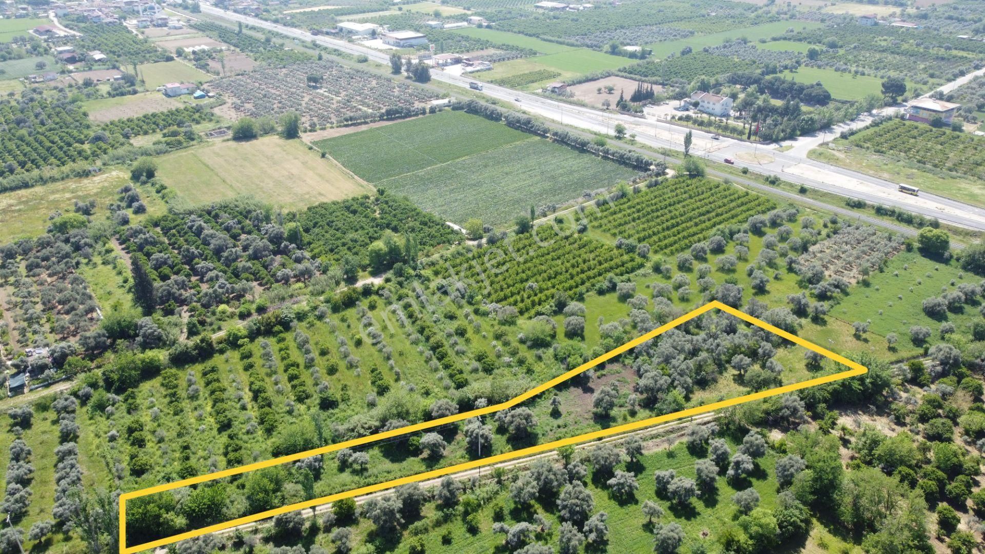 ✅✅ !! Fiyat Düştü !! Nazilli Arslanlıda Satılık 2.321 M2 Bahçe ✅✅