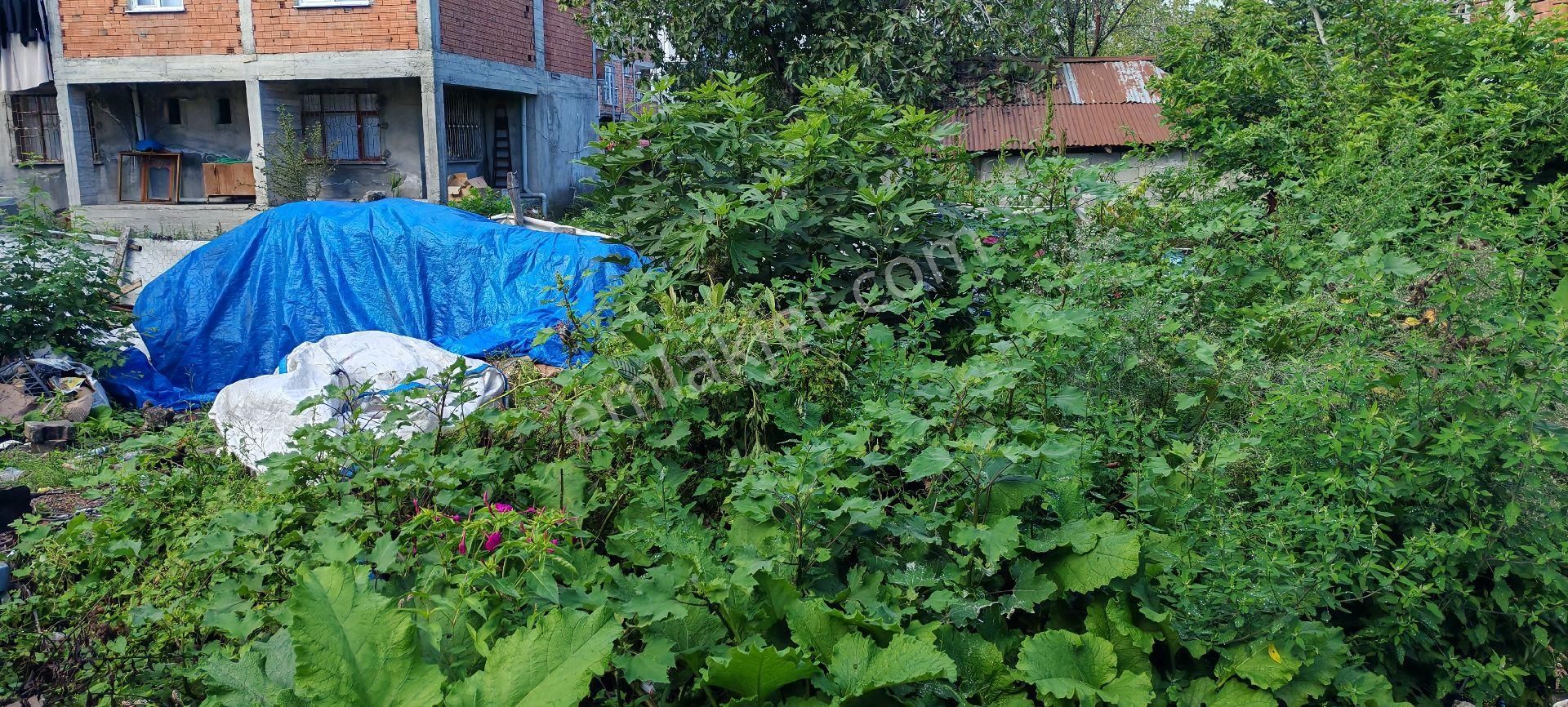 Samsun Terme Fenk Satılık İmarlı Parsel - Görsel 2