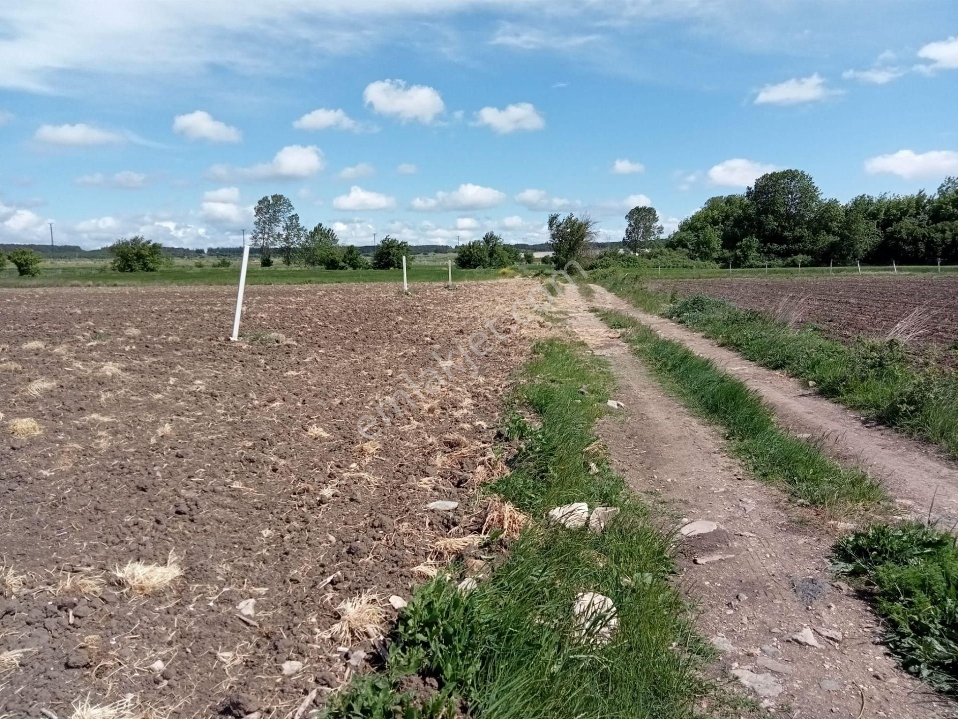 Kırklareli Vize Çakıllı Hürriyet Yeni Otoyol Projesine Cephe Yolu Olan 700m2 Tapulu Parsel