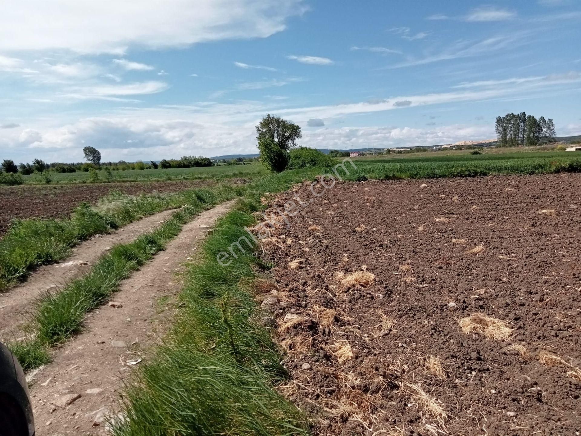 Kırklareli Vize Çakıllı Hürriyet Yeni Otoyol Projesine Cephe Yolu Olan 700m2 Tapulu Parsel