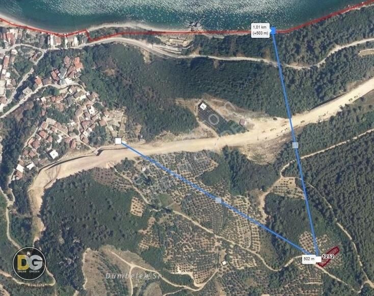 Bursa Mudanya Altıntaş Hobi Bahçesi