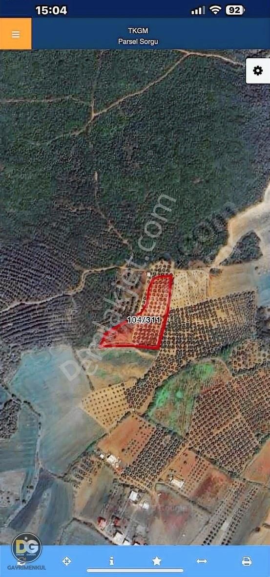 Bursa Mudanya Söğütpınar Köyünde Satılık Tarla - Görsel 5